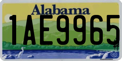 AL license plate 1AE9965