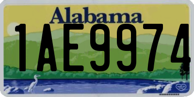 AL license plate 1AE9974