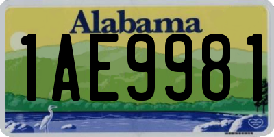 AL license plate 1AE9981