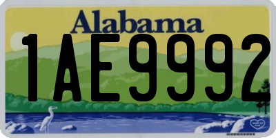 AL license plate 1AE9992