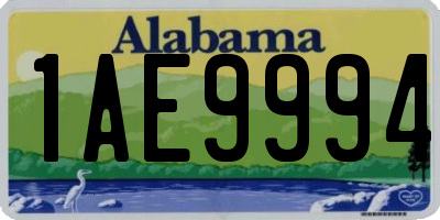 AL license plate 1AE9994