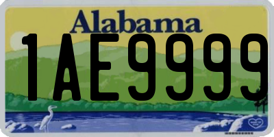 AL license plate 1AE9999