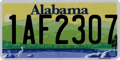 AL license plate 1AF2307