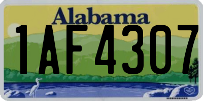 AL license plate 1AF4307