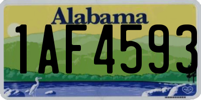 AL license plate 1AF4593