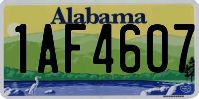 AL license plate 1AF4607
