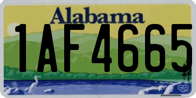 AL license plate 1AF4665