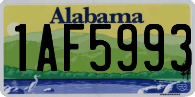 AL license plate 1AF5993
