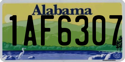 AL license plate 1AF6307