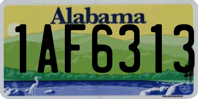 AL license plate 1AF6313