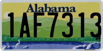 AL license plate 1AF7313