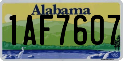 AL license plate 1AF7607