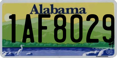 AL license plate 1AF8029