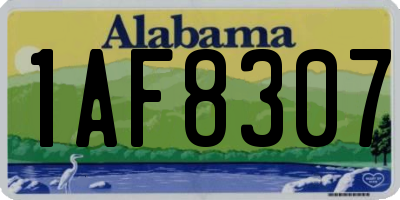 AL license plate 1AF8307