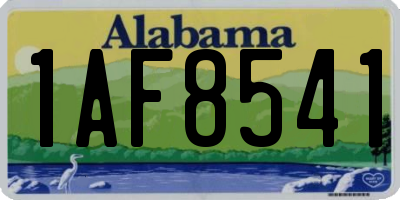 AL license plate 1AF8541