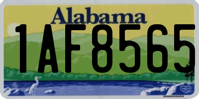 AL license plate 1AF8565