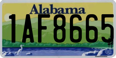 AL license plate 1AF8665