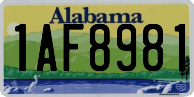 AL license plate 1AF8981