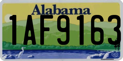 AL license plate 1AF9163