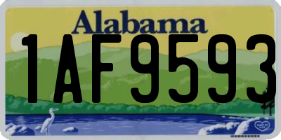 AL license plate 1AF9593