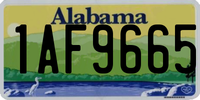 AL license plate 1AF9665