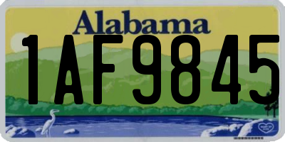 AL license plate 1AF9845