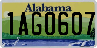 AL license plate 1AG0607
