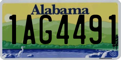 AL license plate 1AG4491
