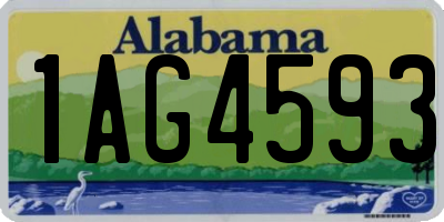 AL license plate 1AG4593