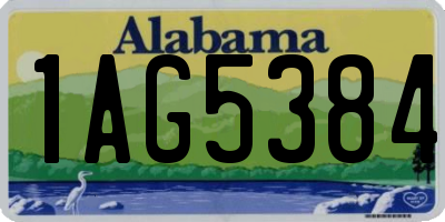 AL license plate 1AG5384