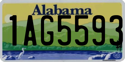 AL license plate 1AG5593