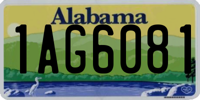 AL license plate 1AG6081
