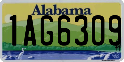 AL license plate 1AG6309