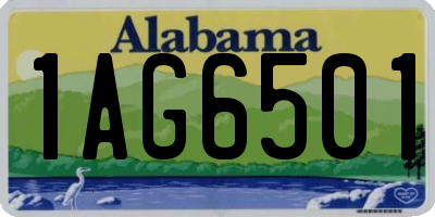 AL license plate 1AG6501