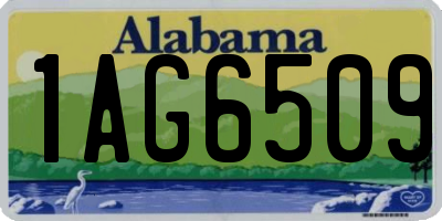 AL license plate 1AG6509