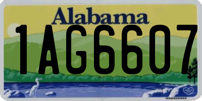 AL license plate 1AG6607