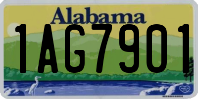 AL license plate 1AG7901