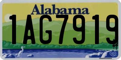 AL license plate 1AG7919