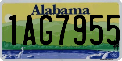 AL license plate 1AG7955