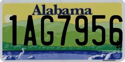 AL license plate 1AG7956