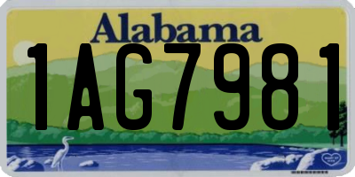 AL license plate 1AG7981