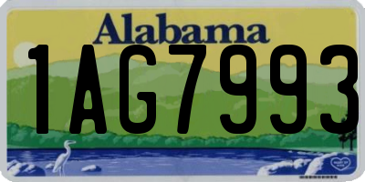AL license plate 1AG7993