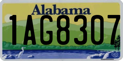 AL license plate 1AG8307