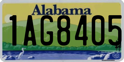 AL license plate 1AG8405