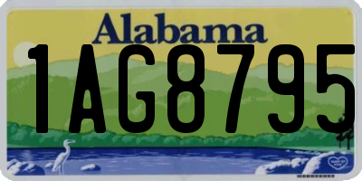 AL license plate 1AG8795