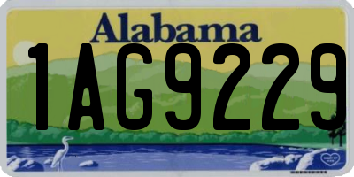 AL license plate 1AG9229