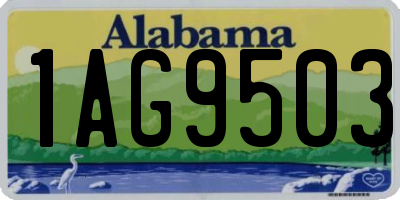 AL license plate 1AG9503