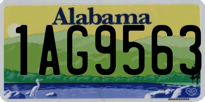 AL license plate 1AG9563