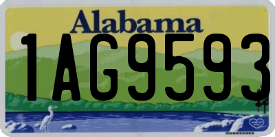AL license plate 1AG9593