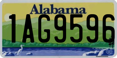 AL license plate 1AG9596